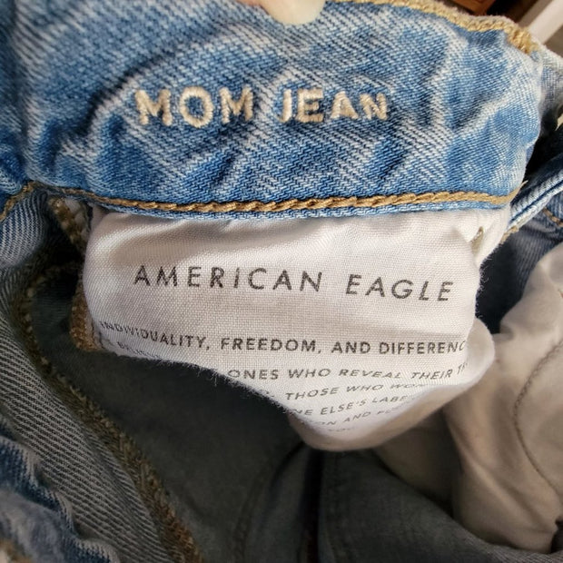 American Eagle AE Strigid Ripped Distressed Mom Jeans Painted Size 2