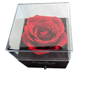 Rose Flower Jewelry Box for Valentine's Day Gifts Box says " I Love You Forever"